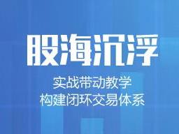 张琛实缠论 股海沉浮 视频课程