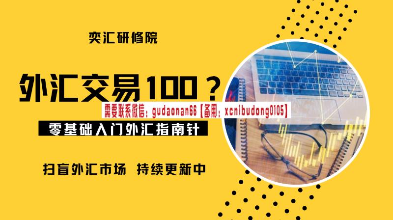 奕汇研修院亦大老师天马老师【外汇市场100问】外汇市场知识大全外汇视频课程